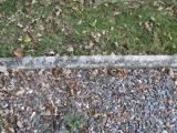 image of grave number 674215
